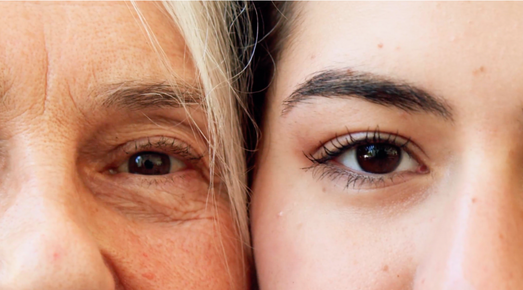Collagen: What the Science Actually Shows
